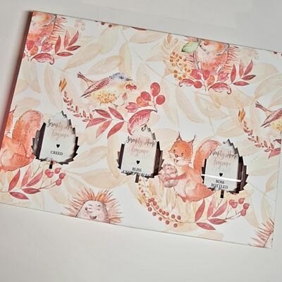 3 Clamshell Box - Coral & Grey Pop Up Butterfly