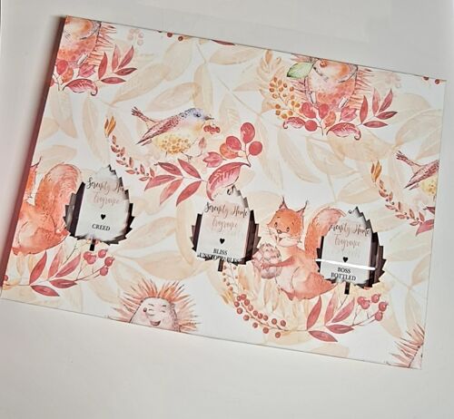 3 Clamshell Box - Coral & Grey Pop Up Flower