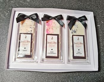 Coffret 3 Clapets - Papillon Gonks Saint Valentin 2