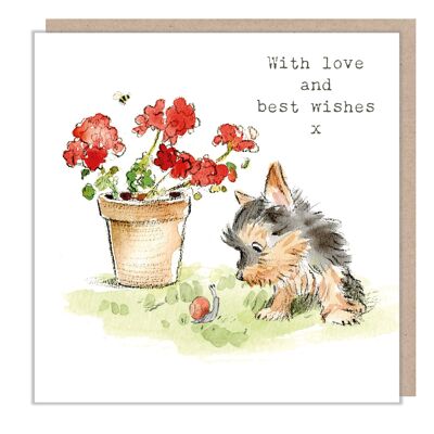 Tarjeta de perro - Yorkshire Terrier - Con amor y los mejores deseos - ABE053