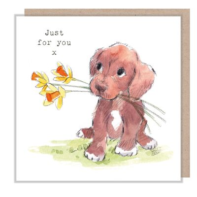 Carte Juste pour toi - Chiot marron avec jonquilles - ABE056