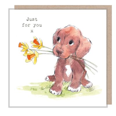 Just for you Card - Brown Puppy with Daffodils - ABE056