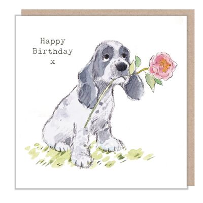 Birthday Card - Cocker Spaniel with pink Rose - Happy Birthday - ABE050