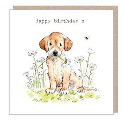 Carte d'anniversaire - Labrador doré avec marguerites - Happy Birthday - ABE051