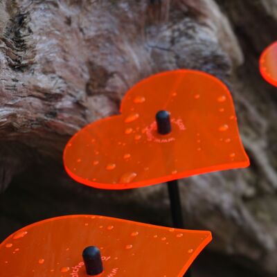 Ensemble de 5 décorations de jardin moyennes 'Coeur'