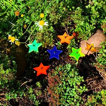 Petites décorations de jardin Set de 5 'Stars' 7