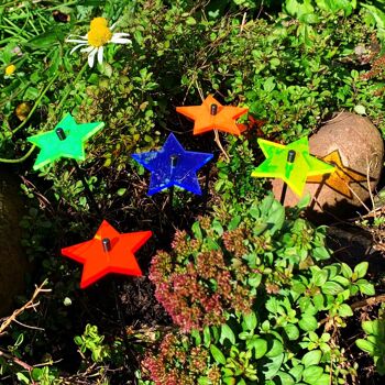 Petites décorations de jardin Set de 5 'Stars' 8