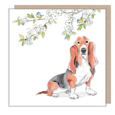 Tarjeta de perro - Bassett Hound con flores y pájaros - En blanco - ABE060