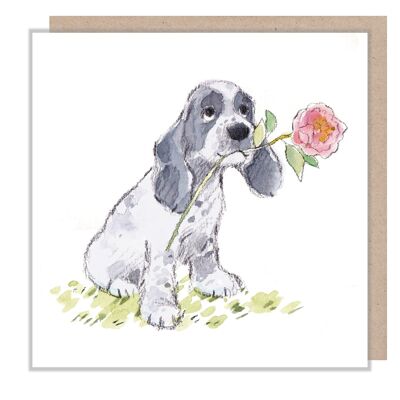 Tarjeta de perro - Cocker Spaniel con flor - En blanco - ABE065