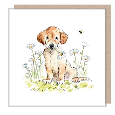 Hundekarte – goldener Labrador mit Gänseblümchen – blanko – ABE066