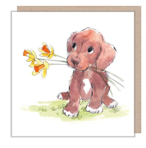 Dog Card - Brown Puppy with Daffodils - Blank - ABE068