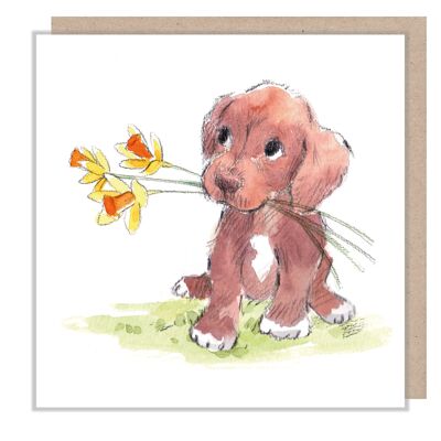 Scheda cane - cucciolo marrone con narcisi - vuota - ABE068