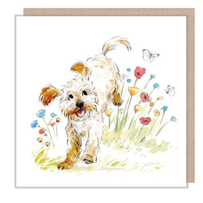 Hundekarte - Cockapoo mit Blumen - Blanko - ABE069