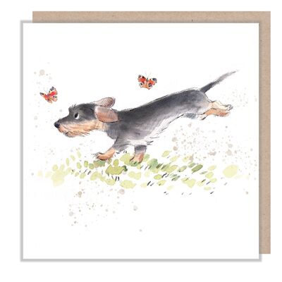 Tarjeta de perro - Perro salchicha con mariposas - En blanco - ABE070