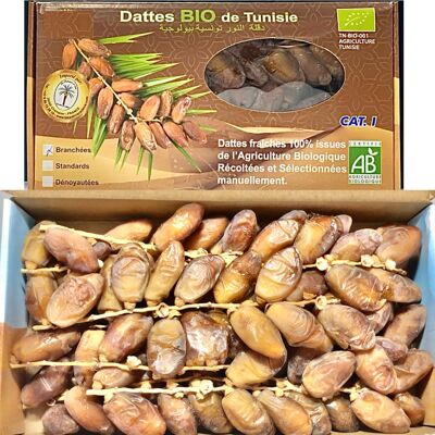 Dattes fraiches Bio Branchées Nouvelle Recolte