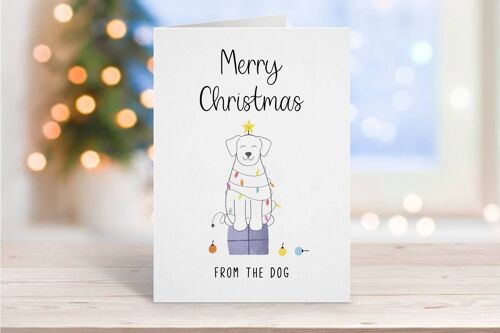 Merry Christmas From The Dog Card