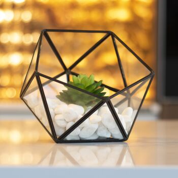 Terrarium en verre demi-boule | M&W 1