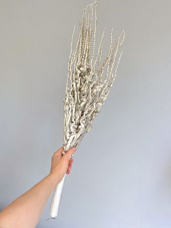 Branche décorative "Twig Coco", 70cm, champagne 3