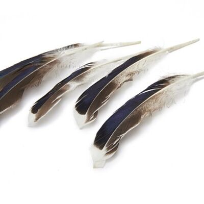 Feather Duck, 50 pieces, 10-15cm