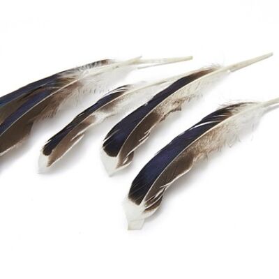 Feather Duck, 50 Stk., 10-15cm