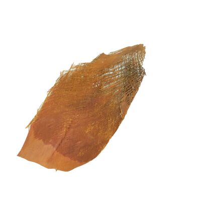 Esteras de fibra de coco, cantidad aprox.300g, color marrón natural