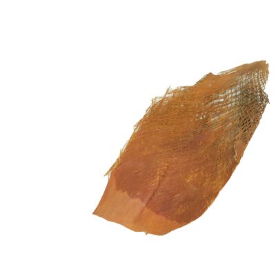 Tapis en fibre de coco, quantité env.300g, couleur marron naturel