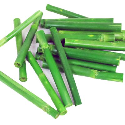 Bâtonnets de canna vert, 9-10 cm, 300g