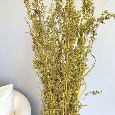 Alpha Grass, largo aprox. 100cm, color verde oliva