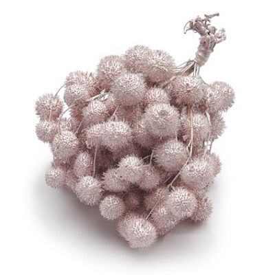 Boules de sycomore "Plane Ball", 250g, rose perle / or rose