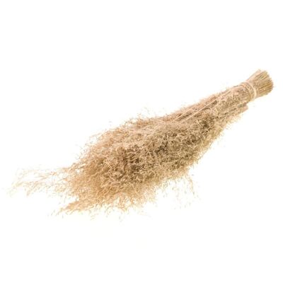 Munni Grass, environ 100g, 50-55cm, beige naturel