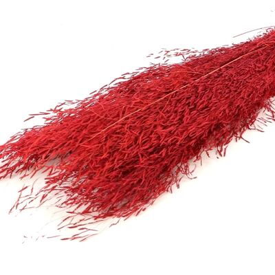 Munni Grass, aproximadamente 100 g, aproximadamente 60 cm, rojo