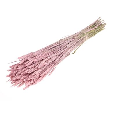 Wheat, approx. 150g, 60-65cm, limed pink