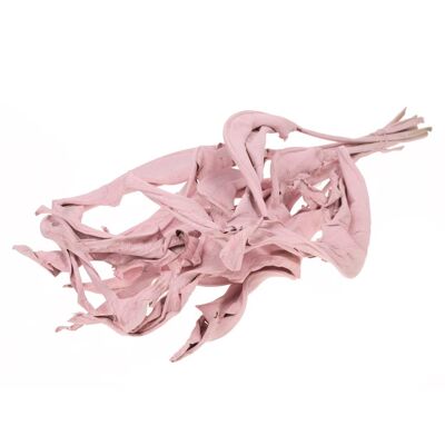 Strelizia leaves, bunch / 10 pieces, approx. 60cm, whitewashed pink