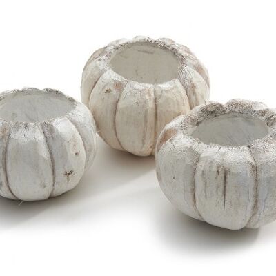 Coco Pumpkin, 3 pieces, ∅ 16cm, white wash