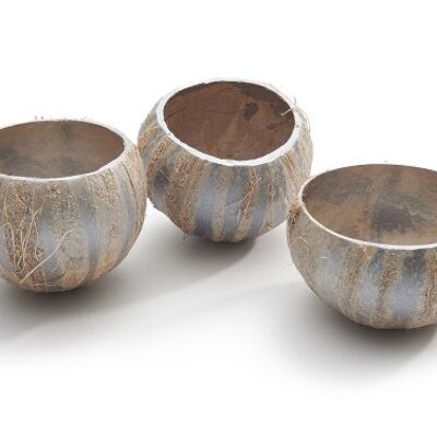 Coco Cup, 5 pezzi, 11cm, champagne