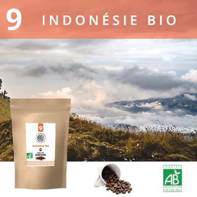 Chicchi di caffè Biologico Indonesia 1Kg