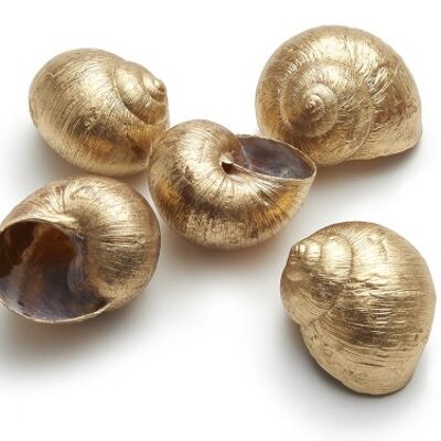 Large snail, 12 pieces / bag, gold