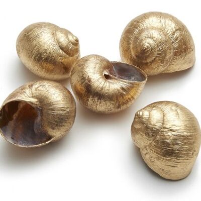 Large snail, 12 pieces / bag, gold