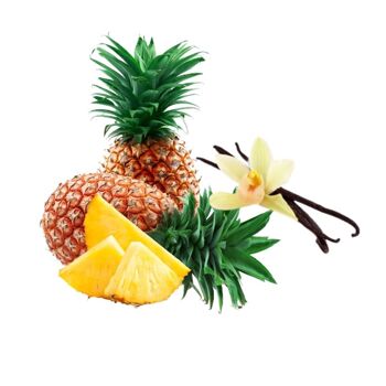 Confiture extra Ananas Vanille 220gr 2