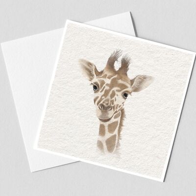 giraffe