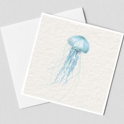 Jellyfish