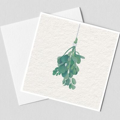 mistletoe