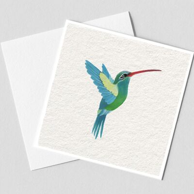 colibri