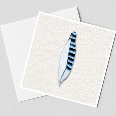 blue feather