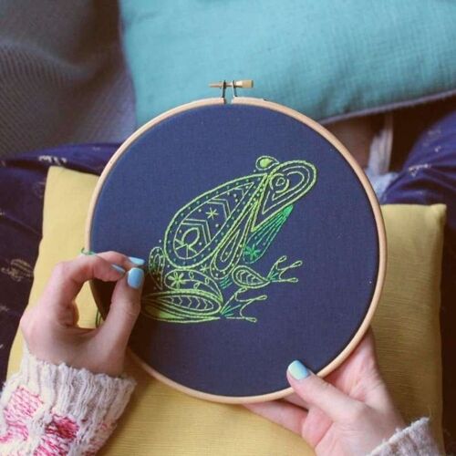 Frog Embroidery Kit