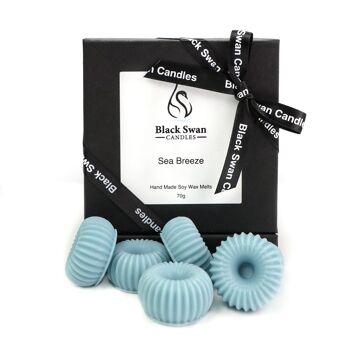 Bougies Black Swan - Fondants de cire Sea Breeze 1