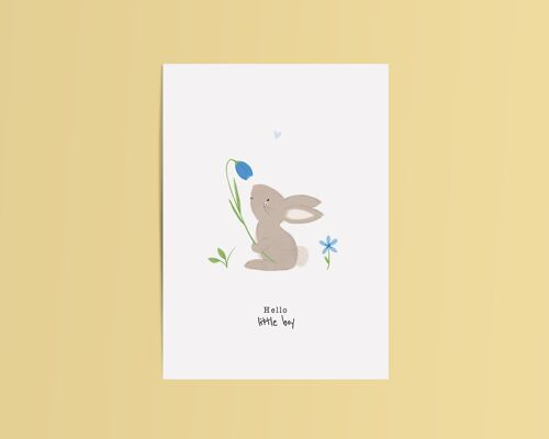 Card Rabbit Hello Baby Boy