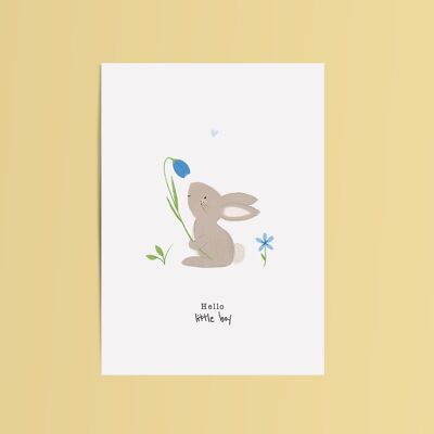 Karte Kaninchen Hallo Baby Boy
