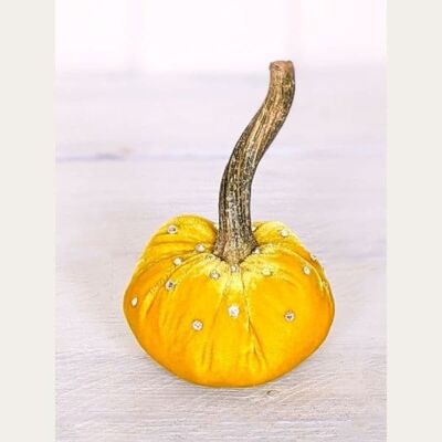 Zucca Di Cristallo Di Butternut 5 Pollici