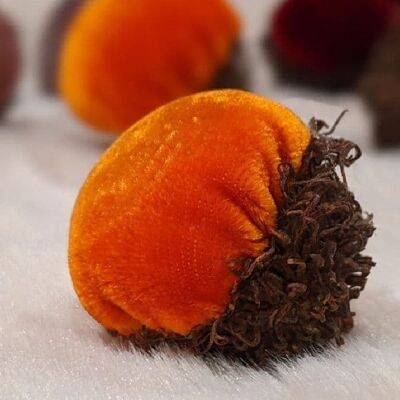 Ghiande di velluto di quercia bruciata arancione